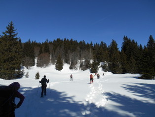 randonnée raquettes dans le vercors randonnée raquettes dans le vercors
