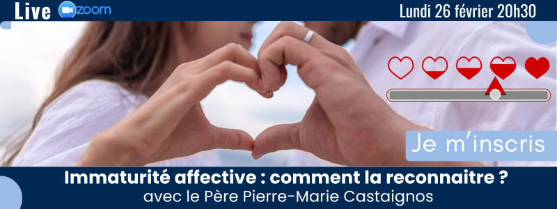 Visio Immaturite Affective Visio Immaturite Affective